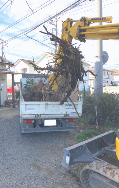 コードデザイン|植栽撤去